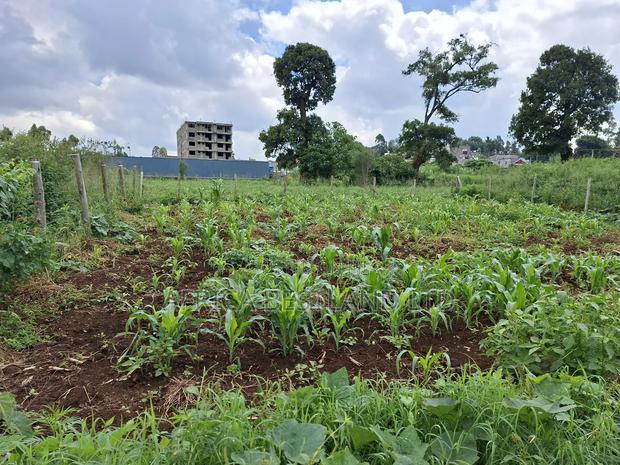 50x100 Available Plot for Sale in Ruaka Muchatha