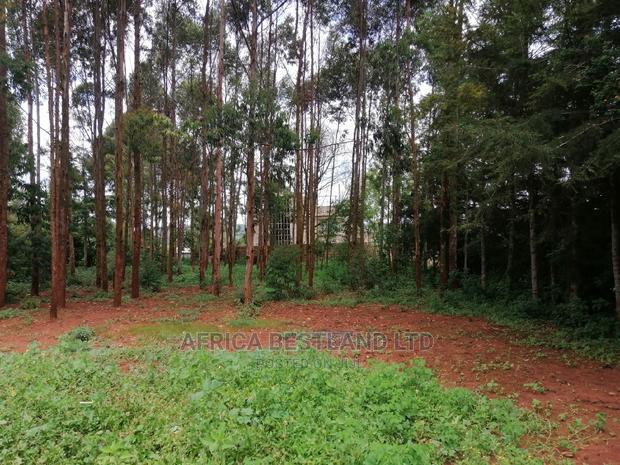 50x100 Ft Plot for Sale in Kikuyu Migumoini