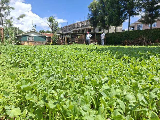 50x100 Available Plot for Sale in Gathiga Kabete