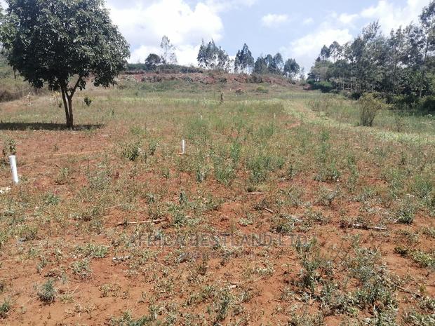 50x100 Prime Plot