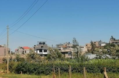 Prime 50x100 Residential Plot for Sale in Kikuyu Rosegate