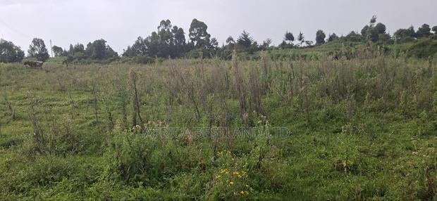 2.5 Acres Land for Sale in Gilgil