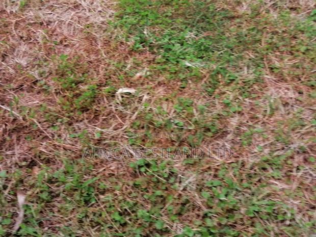 100x100 Residential Plot for Sale in Kikuyu G3