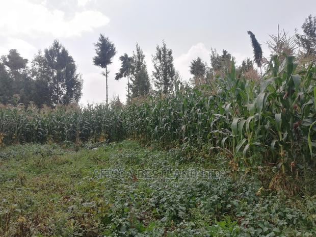100x100 0.1ha Prime Residential Plot for Sale Kikuyu Ondiri