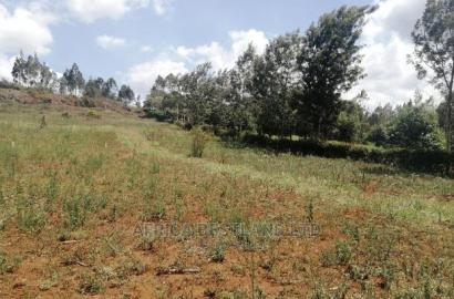 50x100 Prime Plot