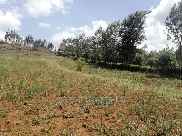 50x100 Prime Plot