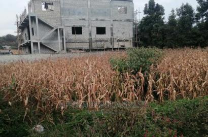 100x100 Ft Plot for Sale in Kikuyu Rusigiti