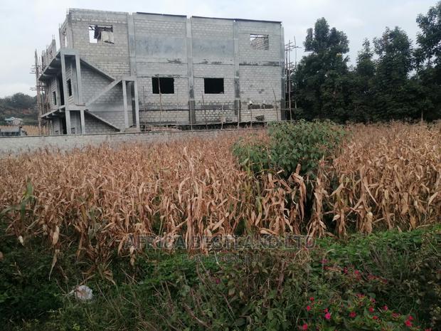 100x100 Ft Plot for Sale in Kikuyu Rusigiti