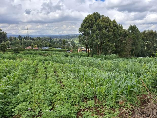 3 Acres Available Land for Sale in Limuru Near Tilisi