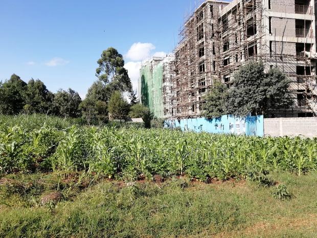 65x100 Plot for Sale in Kikuyu Thogoto