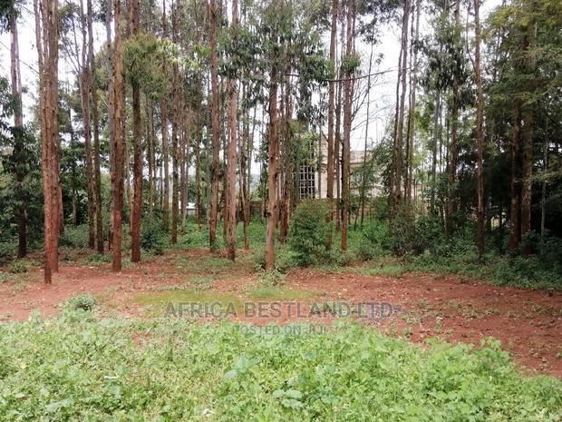50x100 Ft Plot for Sale in Kikuyu Migumoini
