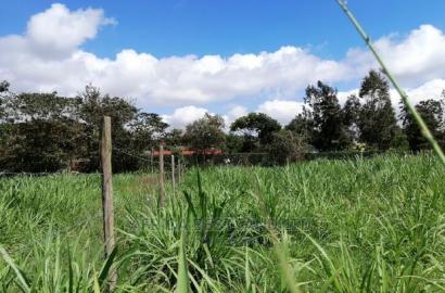 Residential 50x100 Ft Plot for Sale in Thigio Nguirubi