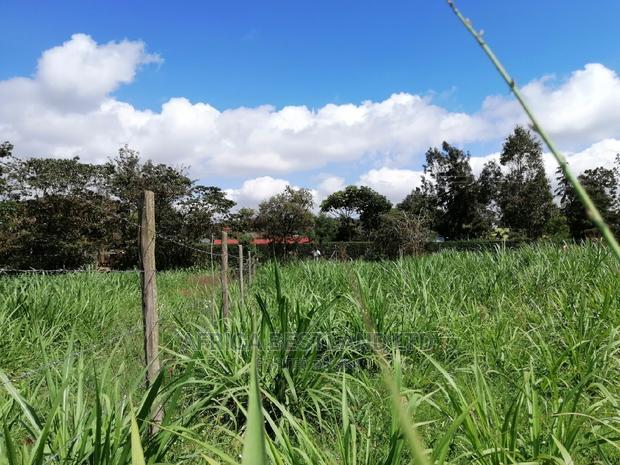 Residential 50x100 Ft Plot for Sale in Thigio Nguirubi