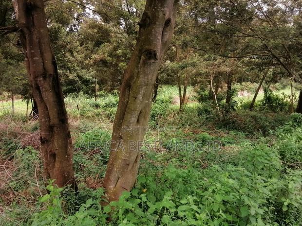 100x100 Residential Plot for Sale in Kikuyu G3