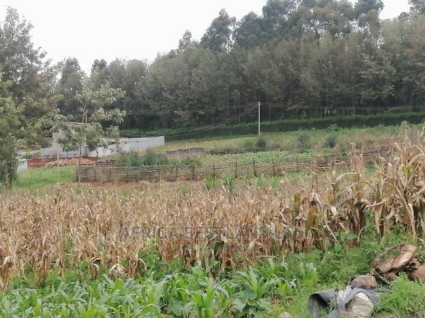 100x100 Ft Plot for Sale in Ondiri