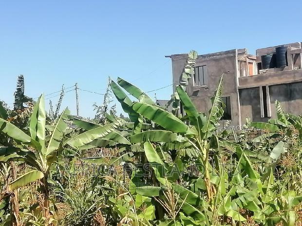 Prime 50x100 Residential Plot for Sale in Kikuyu Rosegate