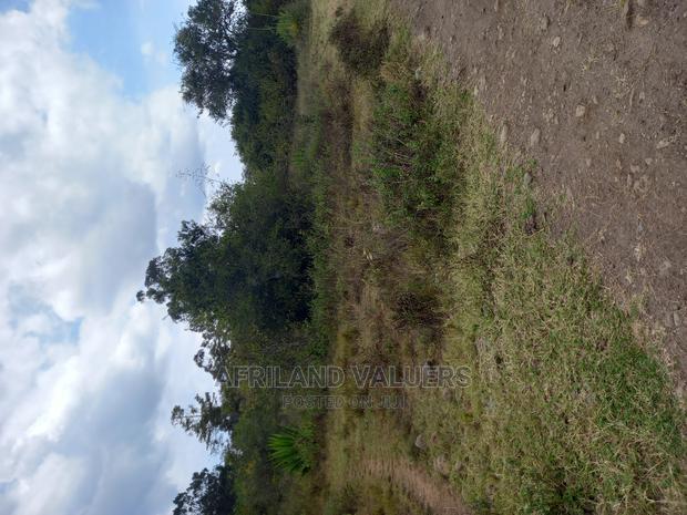 29 Acres of Land for Sale in Karen