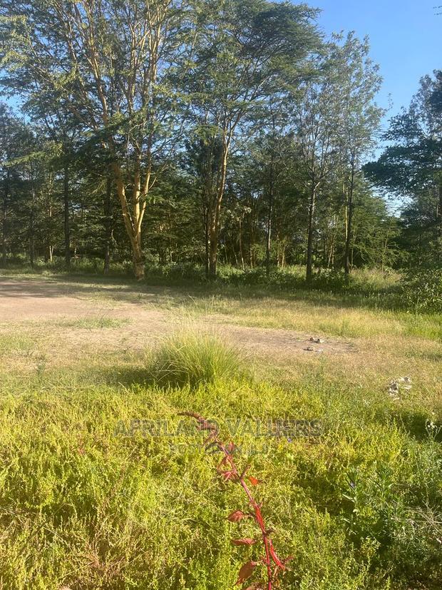 1/2 Acre Prime Plot for Sale at Karen