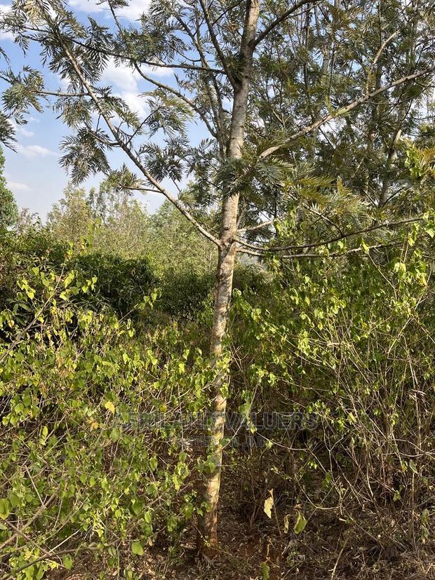 1/4 Acre Plot for Sale in Kerarapon Ngong
