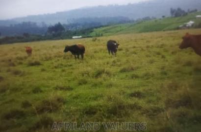 Land for Sale in Karunga Area (Gilgil)