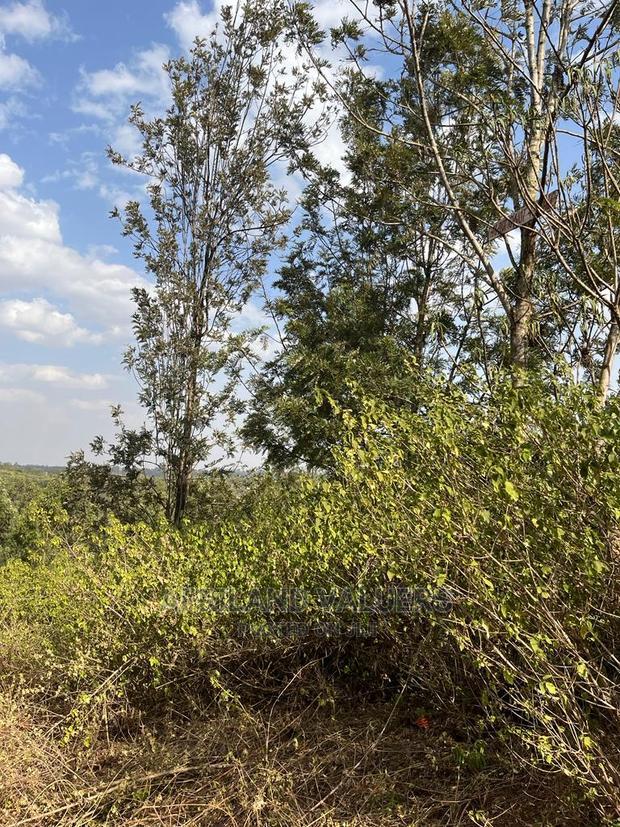 1/4 Acre Plot for Sale in Kerarapon Ngong