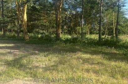 1/2 Acre Prime Plot for Sale at Karen