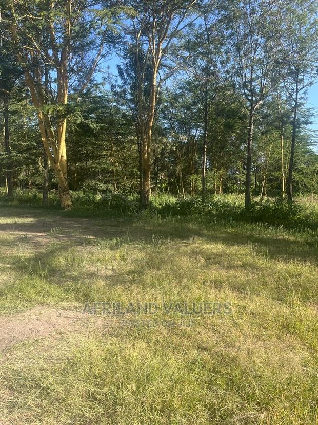 1/2 Acre Prime Plot for Sale at Karen