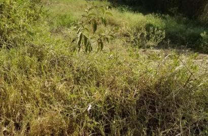 2 1/8 Plots for Sale in Athi River