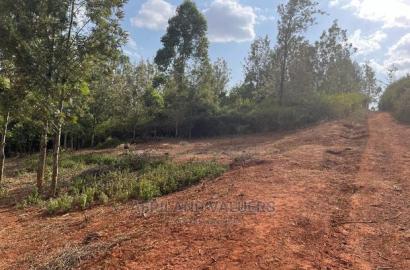 1/4 Acre Plot for Sale in Kerarapon Ngong