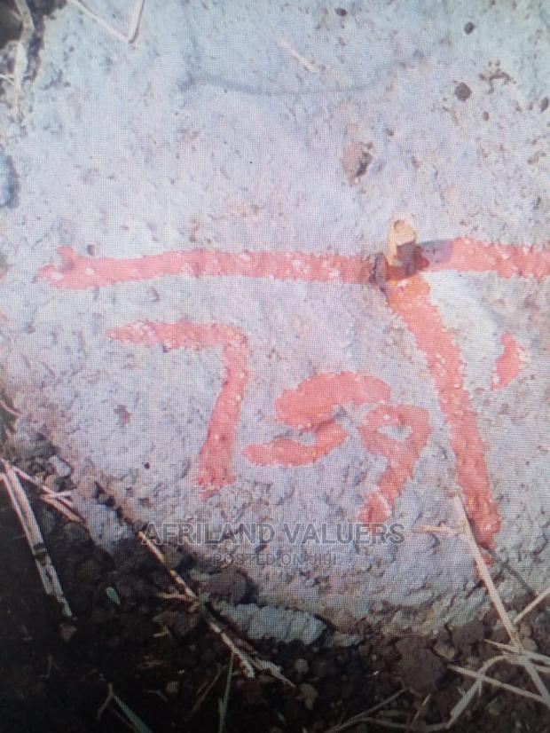 1/4 Plot for Sale in Kabarak