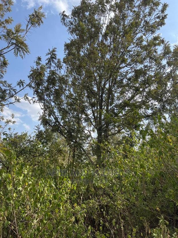 1/4 Acre Plot for Sale in Kerarapon Ngong