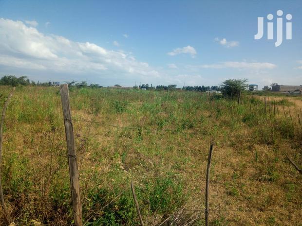 2 Prime 1/8 Plots FOR SALE- Kabarak, Nakuru County