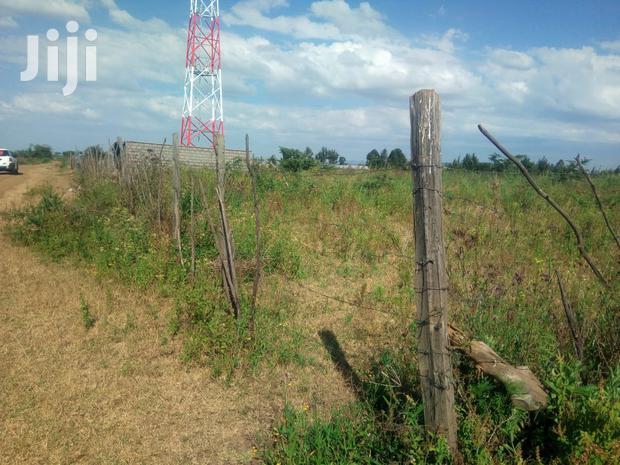 2 Prime 1/8 Plots FOR SALE- Kabarak, Nakuru County