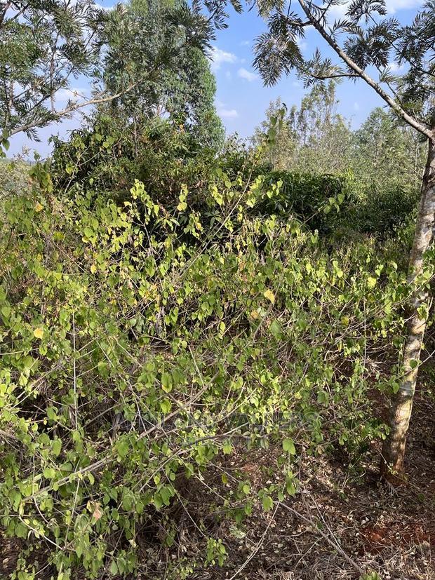 1/4 Acre Plot for Sale in Kerarapon Ngong