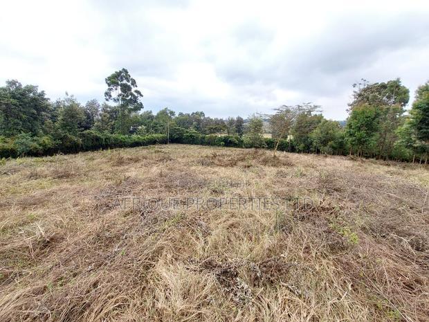Ngong Kibiko Resident Plot 50*100 for Sale