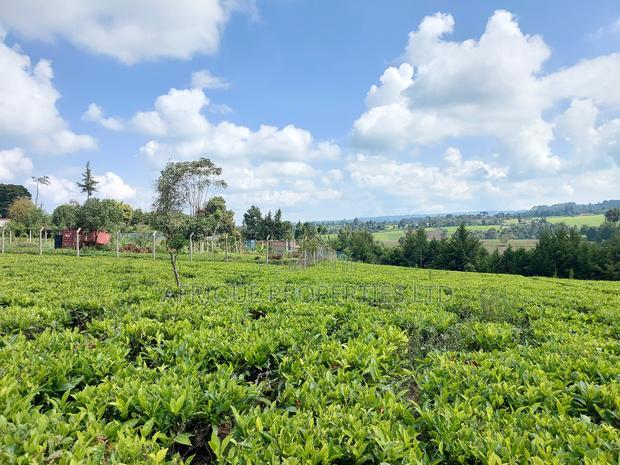 Tigoni 1/2 Residential Plot for Sale In