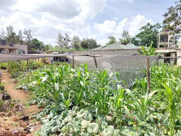 Membly Estate Prime 1/4 Acre Plot With Perimeter Wall 4 Sale