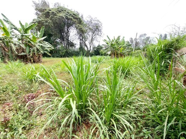 Kiambu Road 1\2 Acre Plot for Sale Opposite Kist
