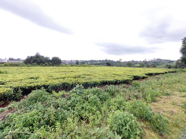 Tigoni 1/2 Residential Plot for Sale In