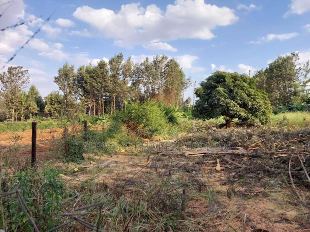 Kiukenda Estate 1\2 Acre Plot for Sale