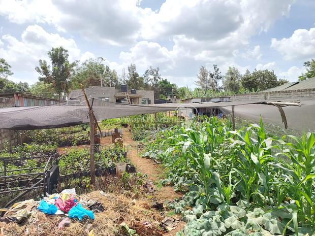 Membly Estate Prime 1/4 Acre Plot With Perimeter Wall 4 Sale