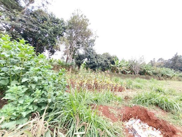 Kikuyu Residential Plots 50 X 100 Plots for Sale