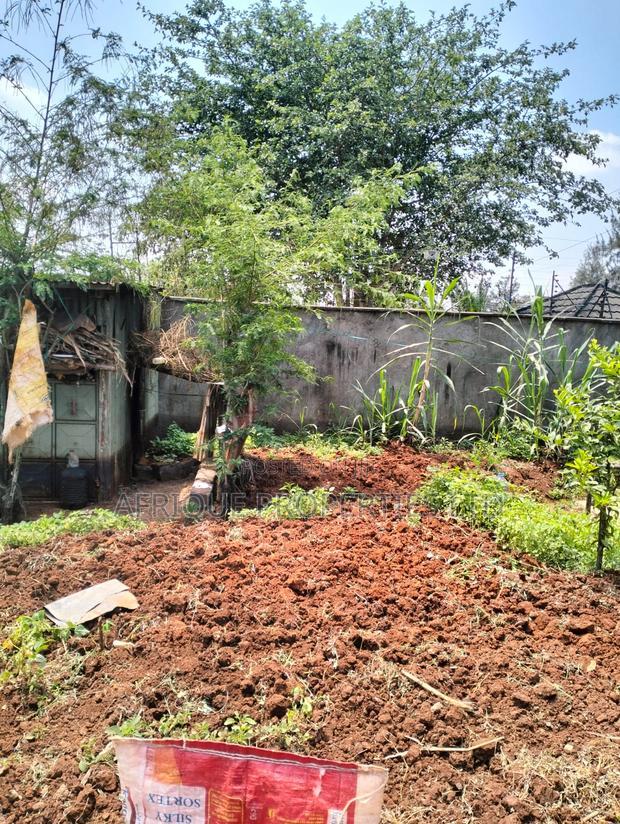 Runda: 1/2 Acre Plot For Sale