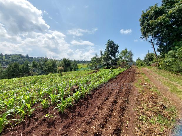 Tigoni 1/2 Residential Plot for Sale In