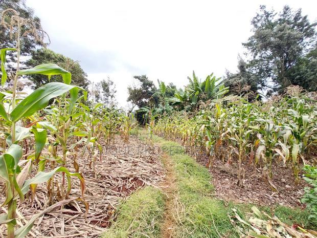 Kikuyu Residential Plots 50 X 100 Plots for Sale