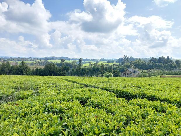 Tigoni 1/2 Residential Plot for Sale In