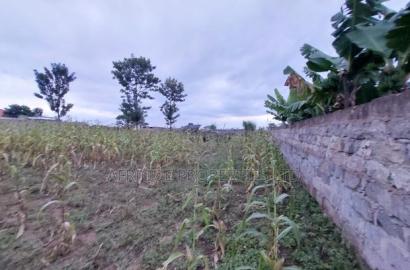 Malaba Residential Plot 50by 100 for Sale