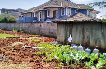 Runda: 1/2 Acre Plot For Sale