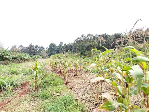Kikuyu Residential Plots 50 X 100 Plots for Sale
