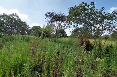 Old Runda 1/2 Plot For Sale